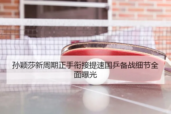孙颖莎新周期正手衔接提速国乒备战细节全面曝光