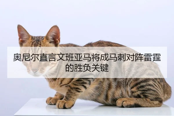 奥尼尔直言文班亚马将成马刺对阵雷霆的胜负关键